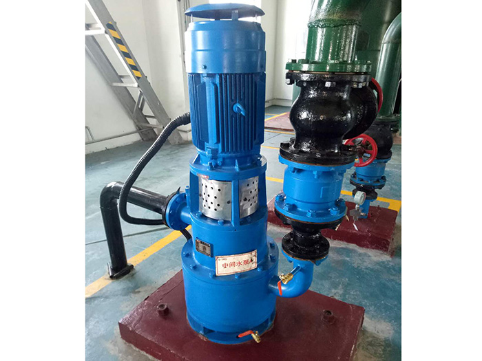 Invention patent of Guodian Lanzhou Fanping power plant no leakage self-priming pump